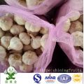 Alho Branco Normal Fresh New Crop 10kgs Mesh Bag Embalagem